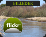 Fluekast.com // Billeder